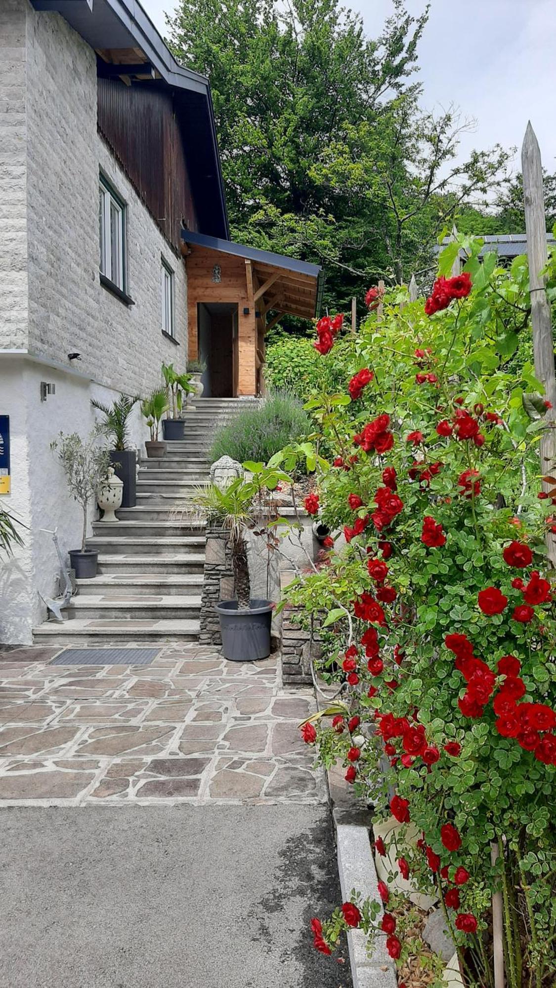 Ferienhaus Goldener Anker اونتراتش إم أترسي المظهر الخارجي الصورة